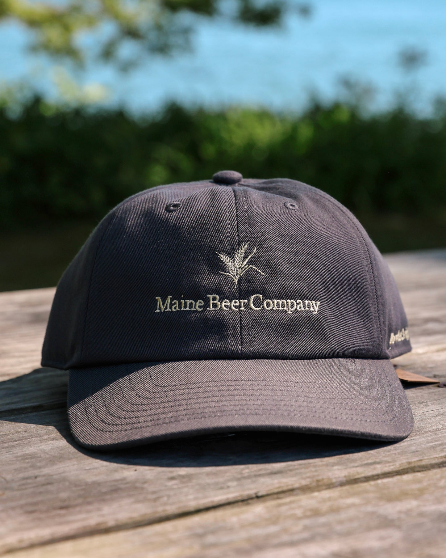 Classic Baseball Cap