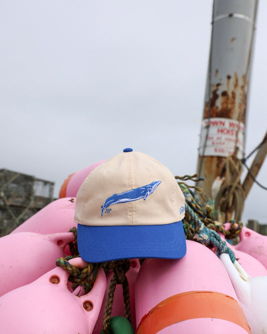 Lunch The Whale Cap