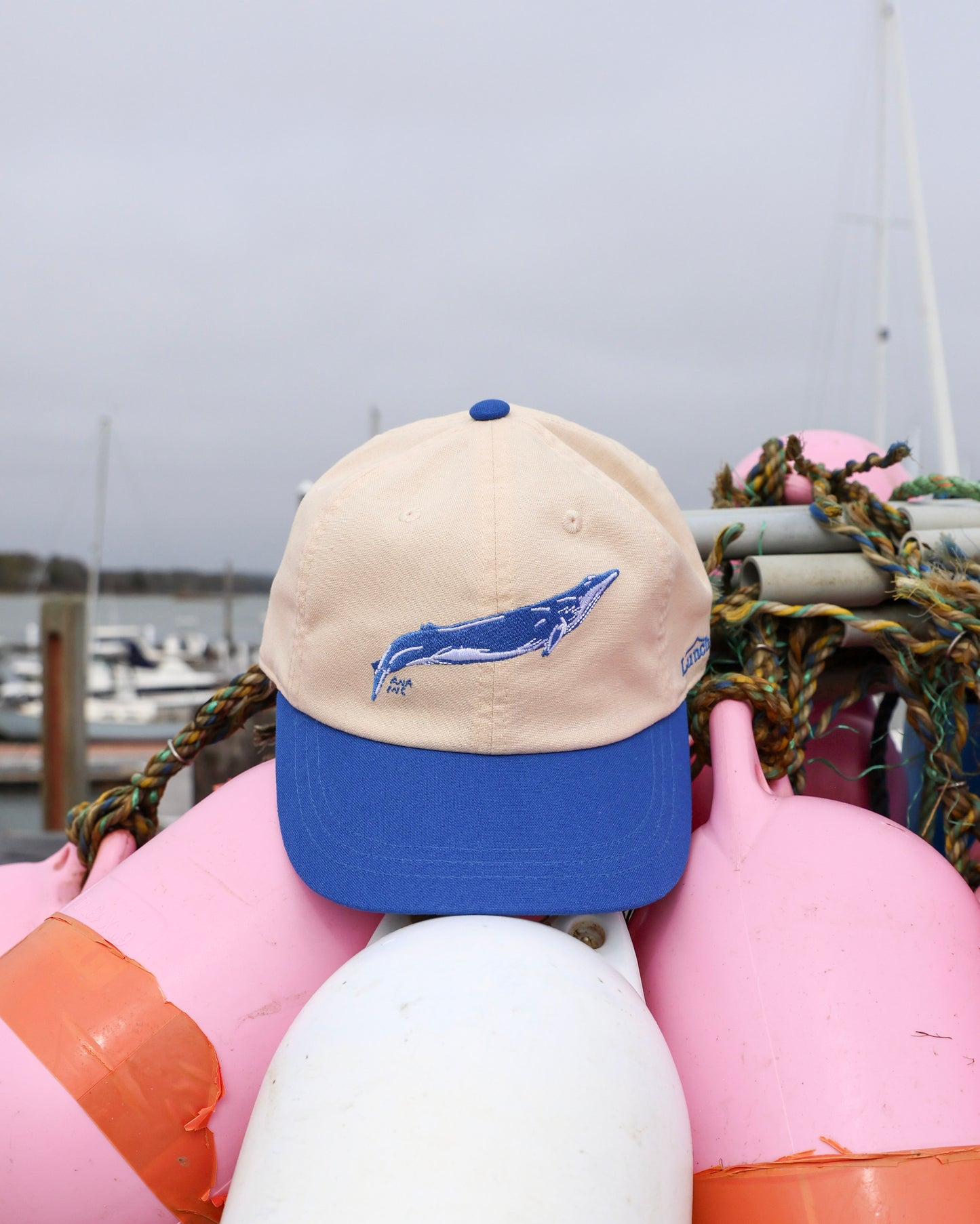 Lunch The Whale Cap