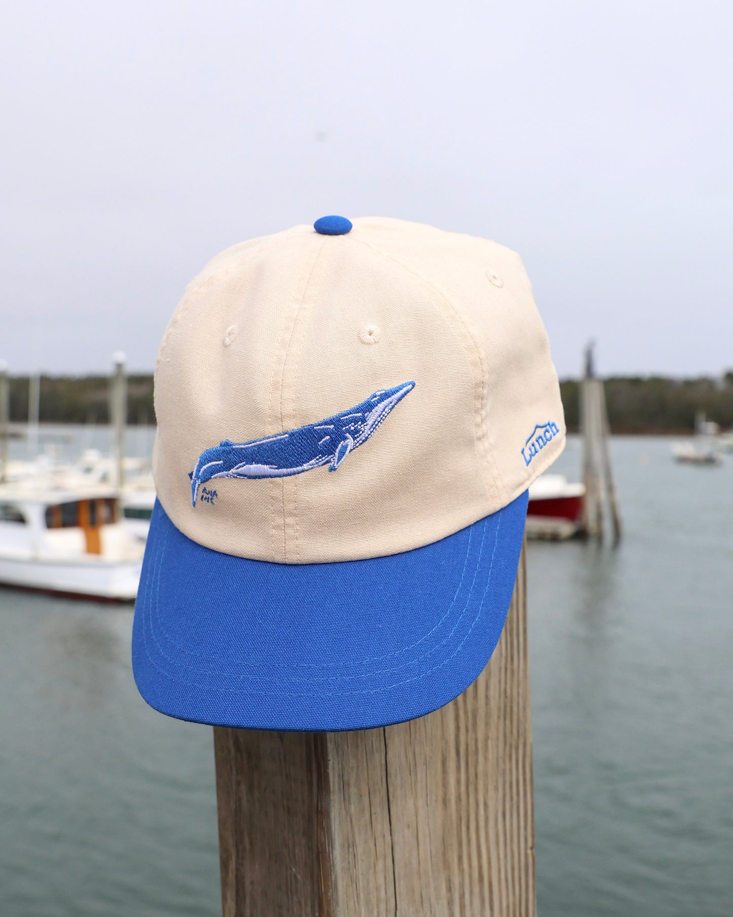 Lunch The Whale Cap