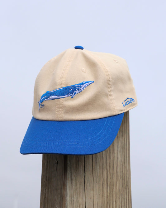 Lunch The Whale Cap