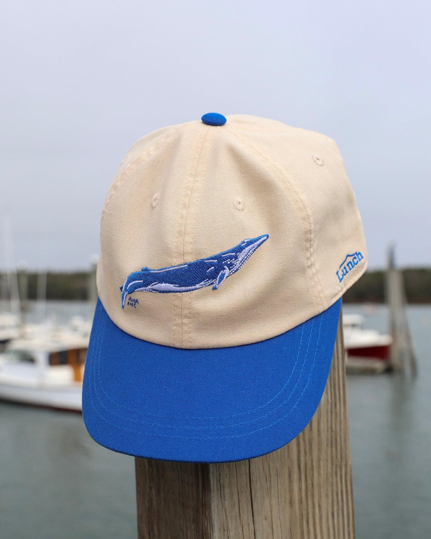 Lunch The Whale Cap