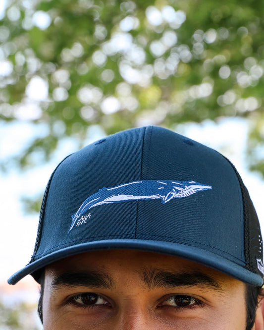 Lunch The Whale Trucker Hat