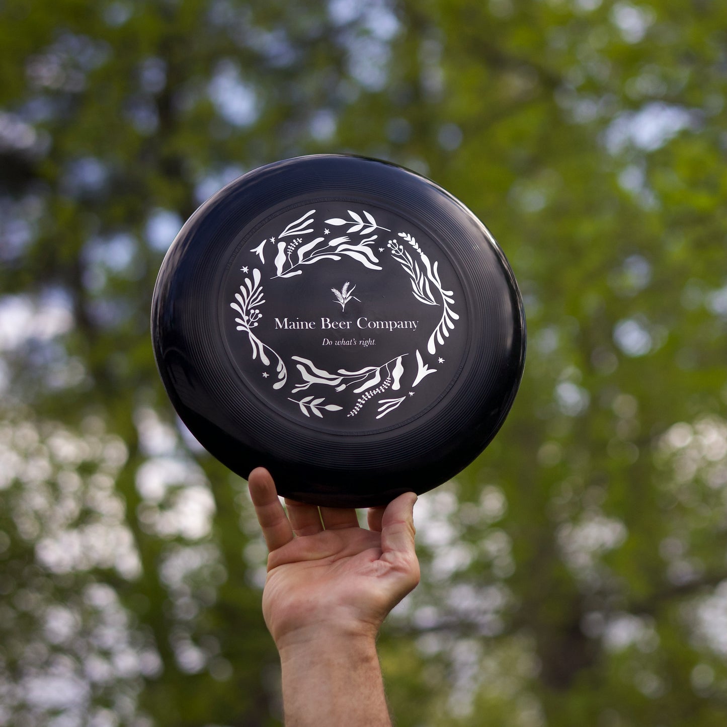Discraft Ultrastar Frisbee