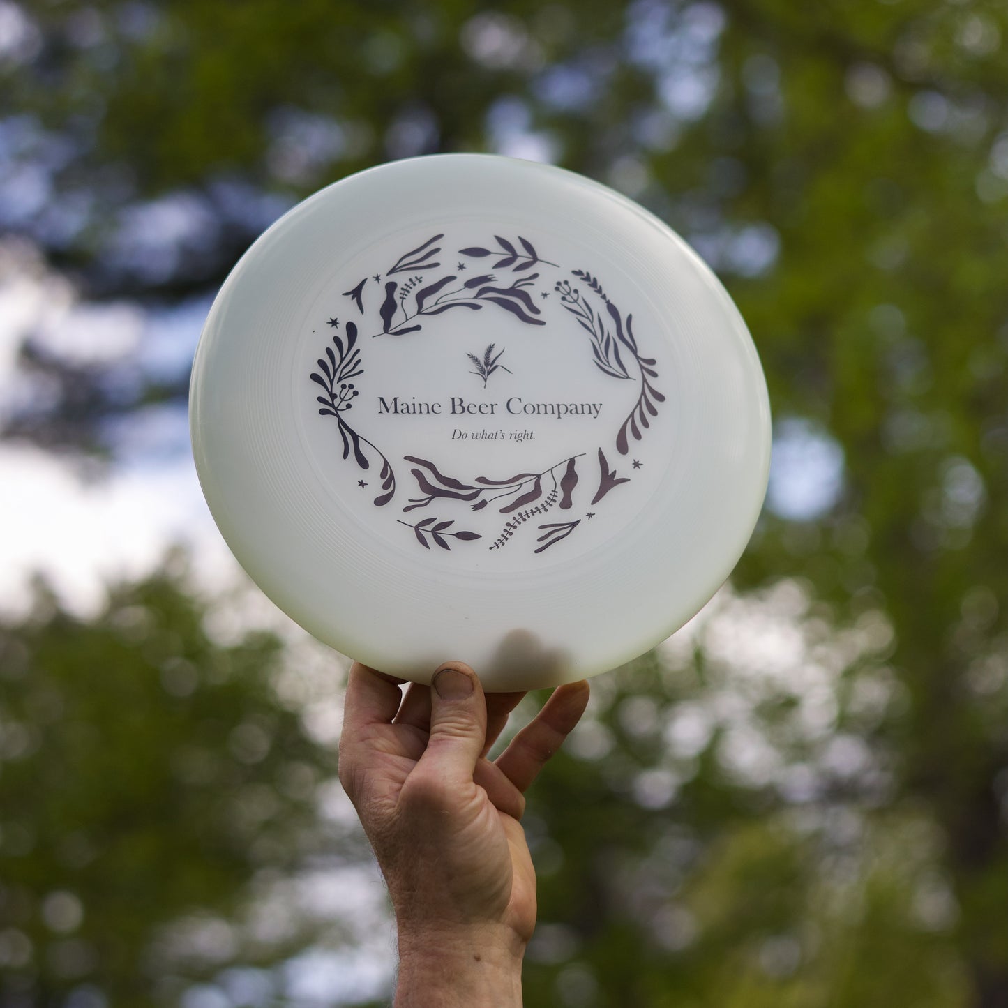 Discraft Ultrastar Frisbee