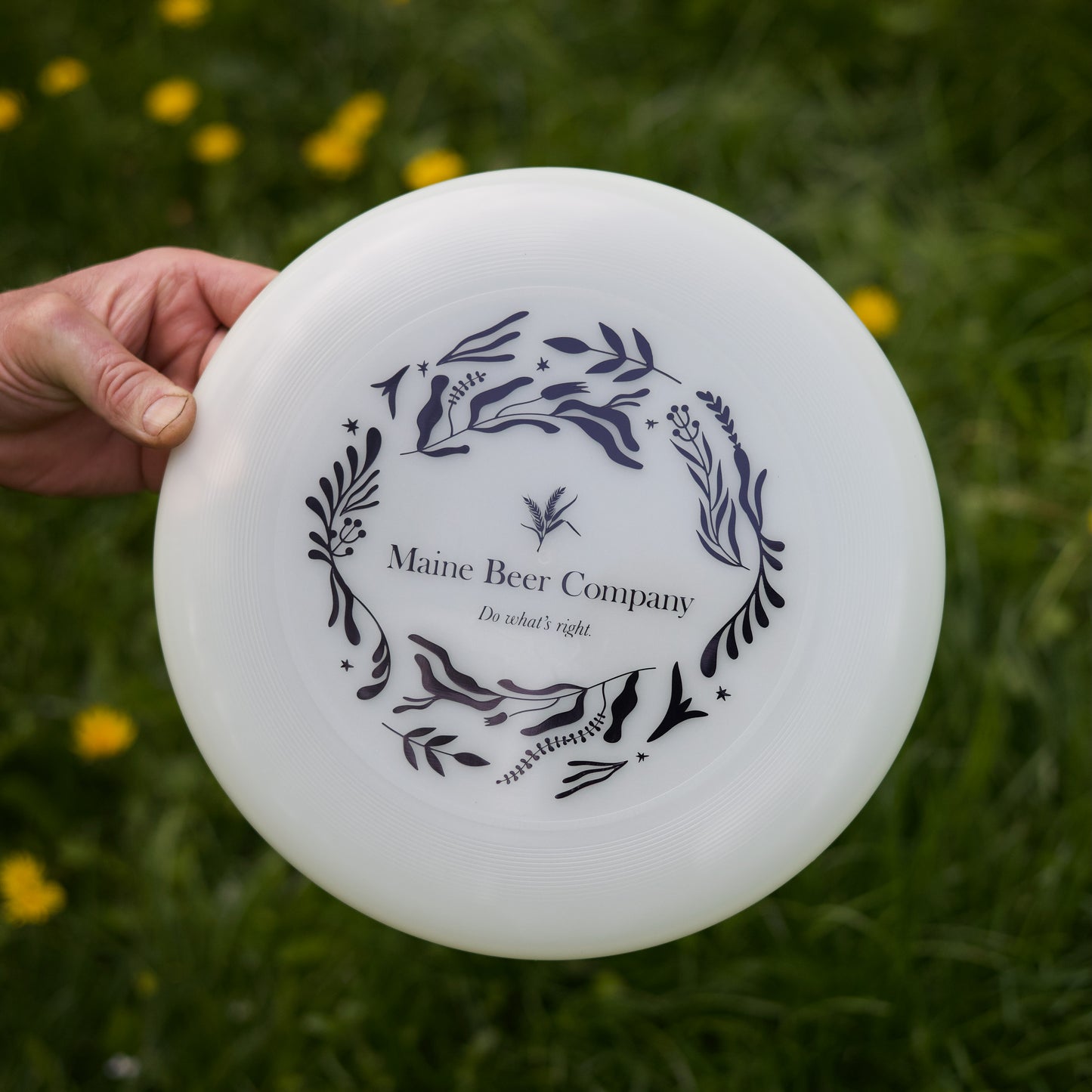 Discraft Ultrastar Frisbee