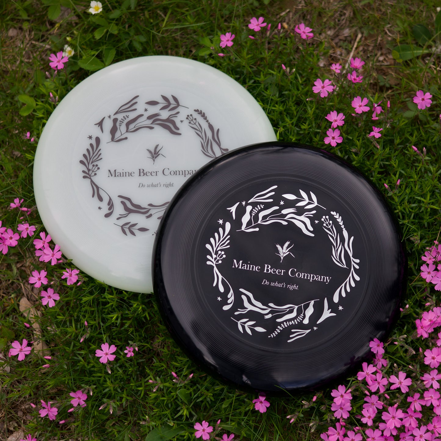 Discraft Ultrastar Frisbee