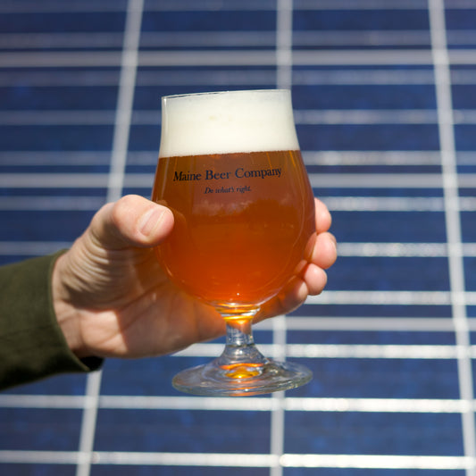 Classic Tulip | 10 oz