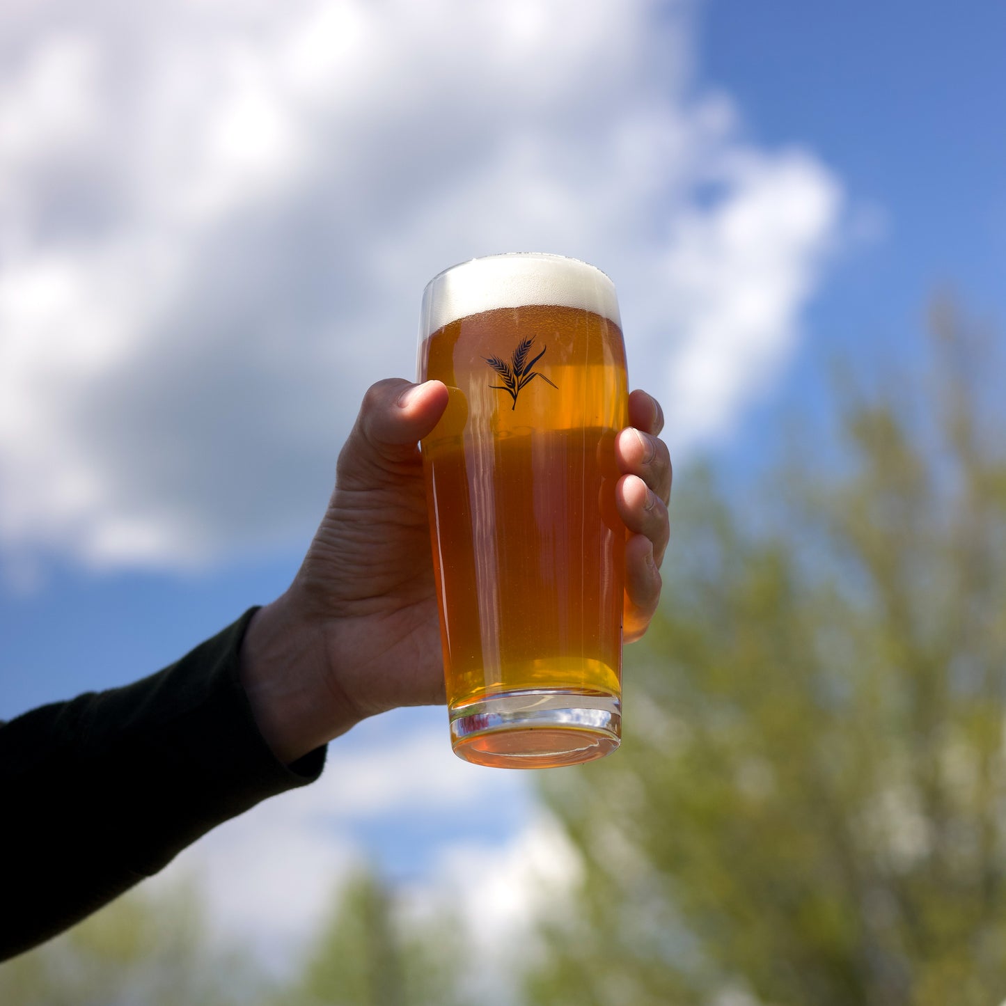 Classic Pint Glass | 16 oz