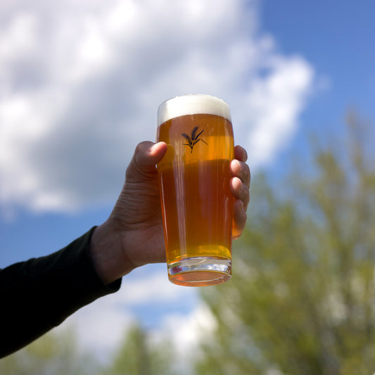 Classic Pint Glass | 16 oz