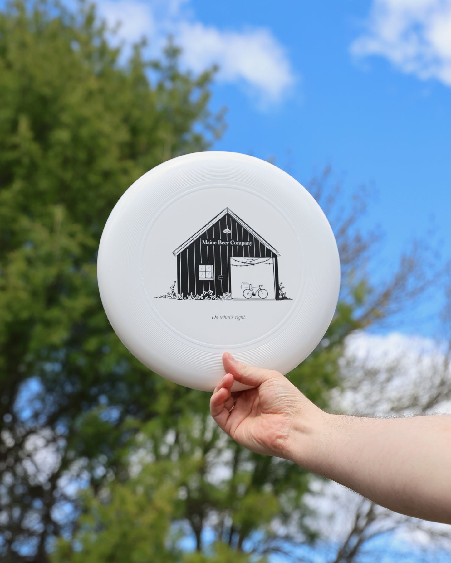 Discraft Ultrastar Frisbee