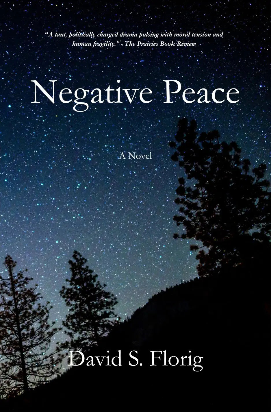 David S. Florig Author Talk - 2/5/26  *RSVP*