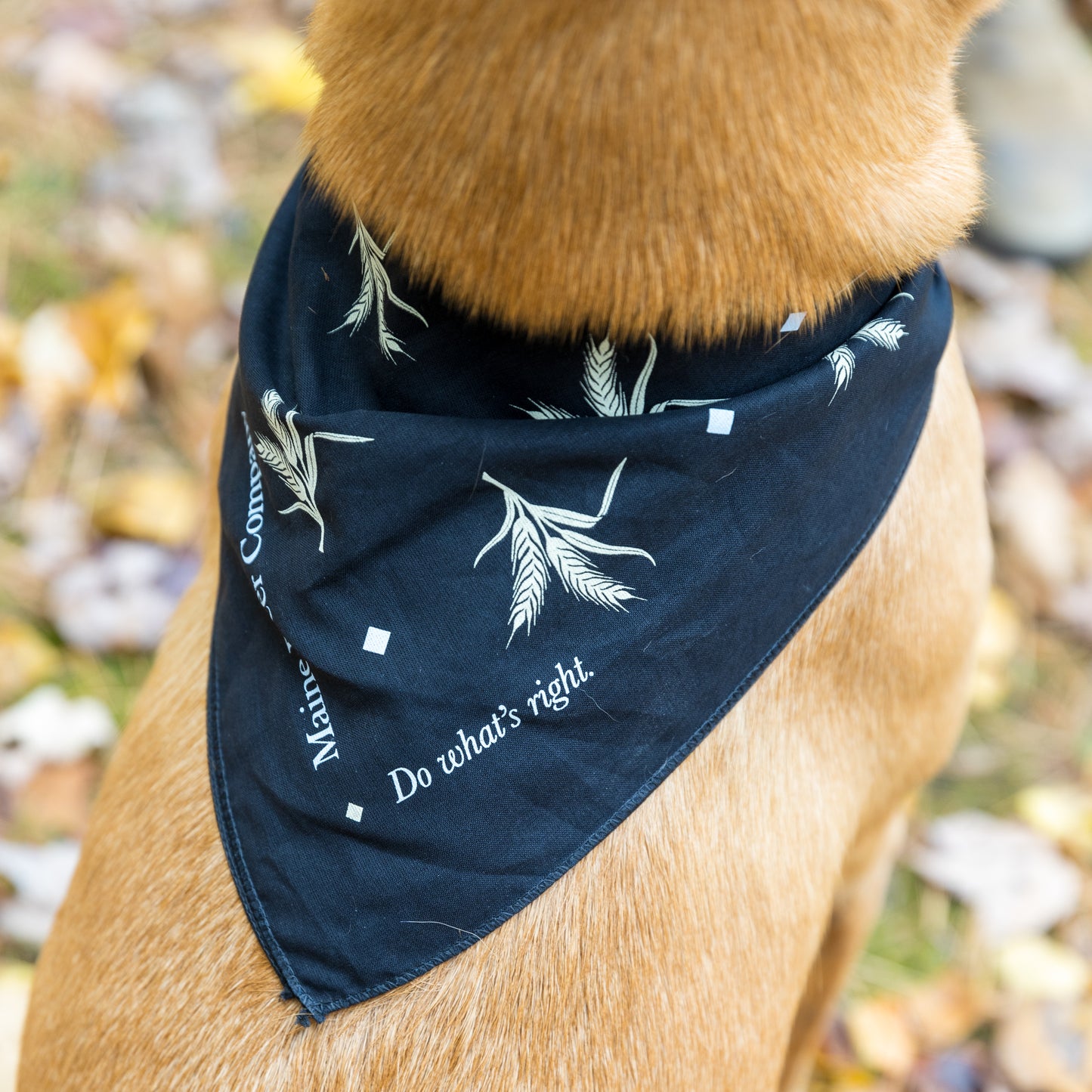 Bandanas